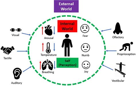 Perception: The Sensory Experience of the World .